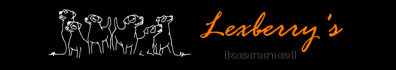 Kennel Lexberry´s